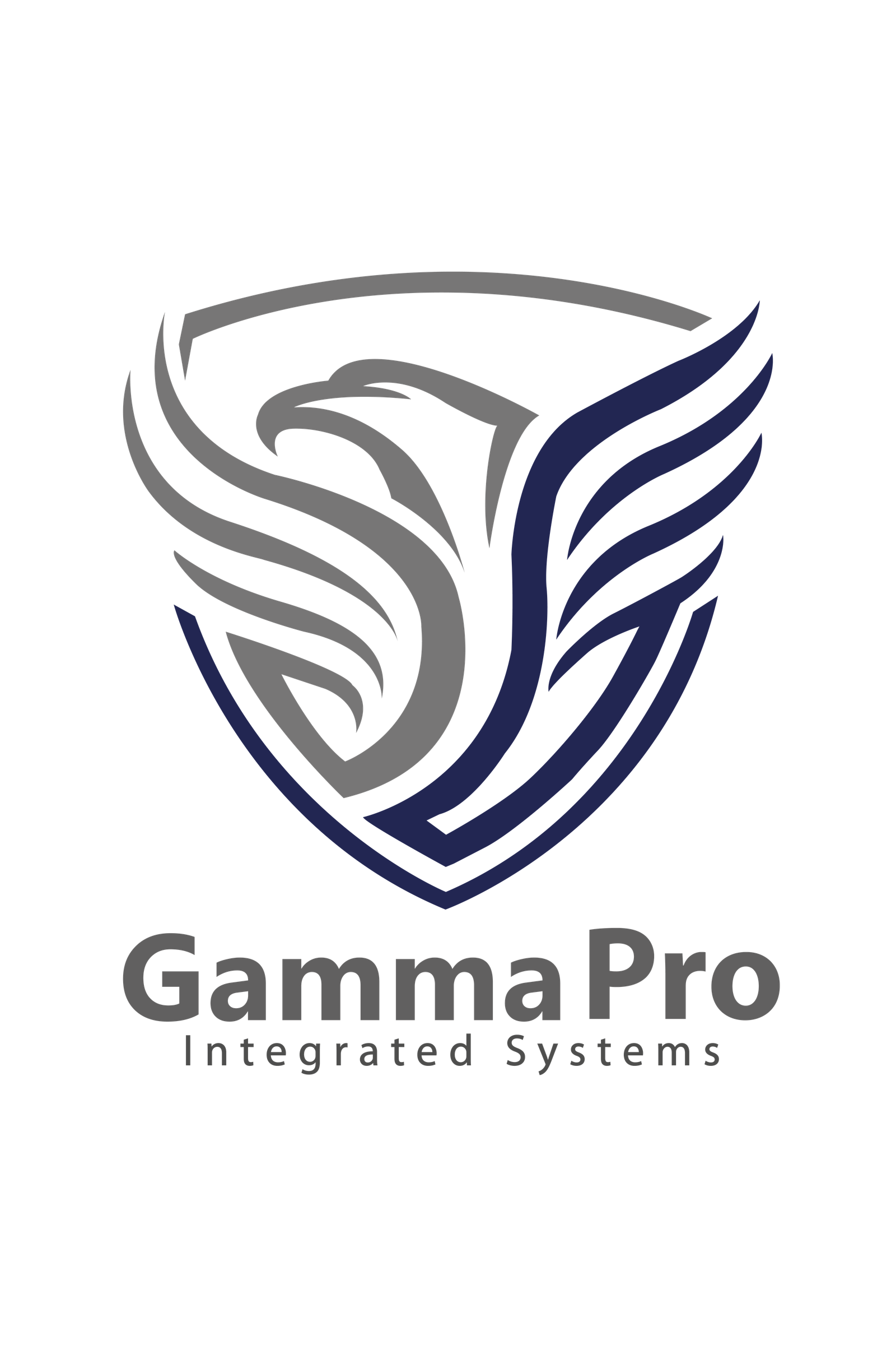 Gamma Pro